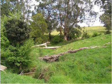 Example of Creekside GGE Habitat