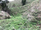 Landslips (mid to lower slope)